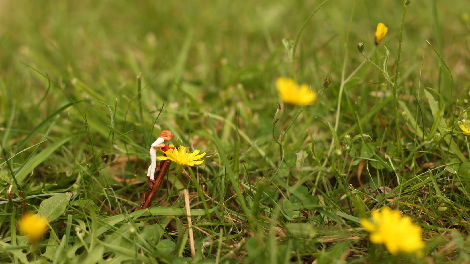 Eine Modellfigur auf einer Leiter inmitten einer Blumenwiese